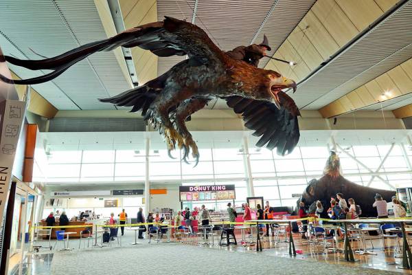 Гигантский орел из «Хоббита» рухнул в аэропорту